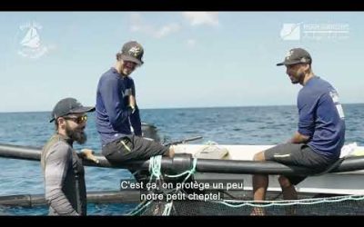 Boat Trip Episode 3 : Projet Parc Aquacole