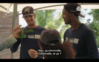 Boat Trip Episode 5: Projet Atelier transformation Bois d&rsquo;Inde