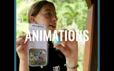 JOLI MOIS DE L&rsquo;EUROPE-Mai 2023