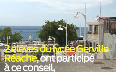 Simulation conseil de l&rsquo;Europe par des lycéens