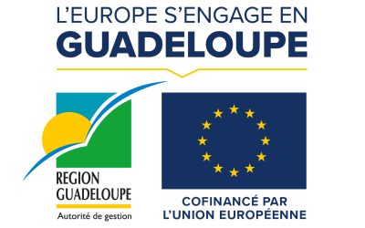 [ATELIER] Mise en œuvre de la stratégie européenne pour les Régions Ultra- Périphériques